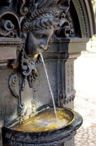fountain in the gardens in Rio