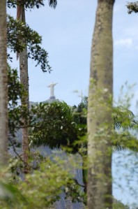 a brief glimpse of Cristo Redentor (Christ the Redeemer) between the palms, which was our next stop