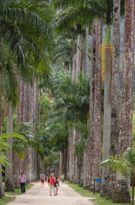 the famous imperial palms