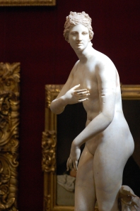 "Venus de'Medici" the highlight of the room