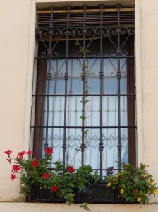 love this window and flower box