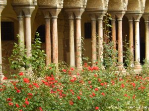 beautiful gardens in the cloister