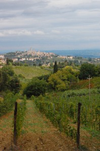 on the road, looking back at San Gimignano (Don)
