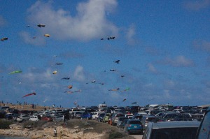 overview of the kite festival