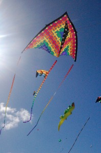 beautiful and colourful kites
