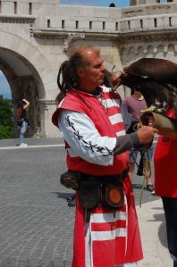 falconer, entertainment in the square