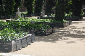 Memorial Garden