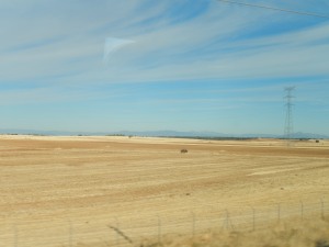landscape from the train window