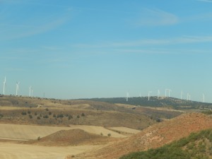lots of windmills