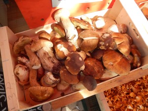 local mushrooms in a market