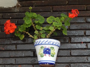 ...and adorable flower pots